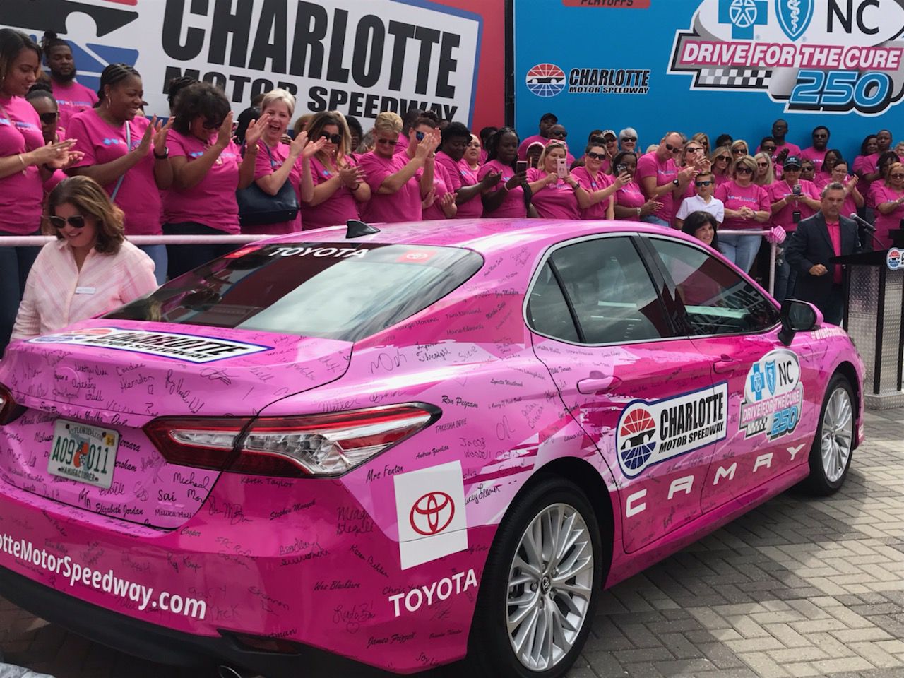 Paint Pit Wall Pink